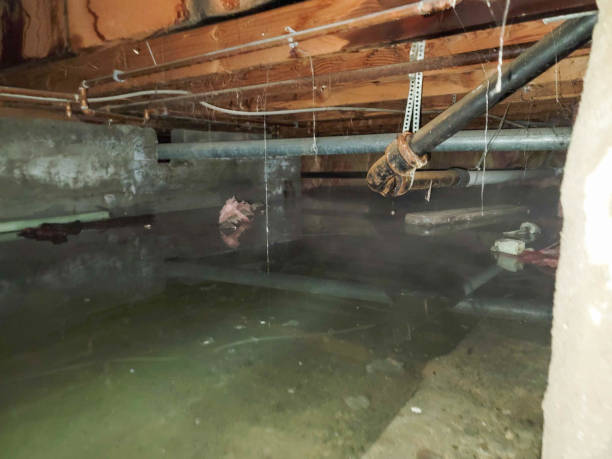 Best Water damage contractors near me  in Crowley, TX
