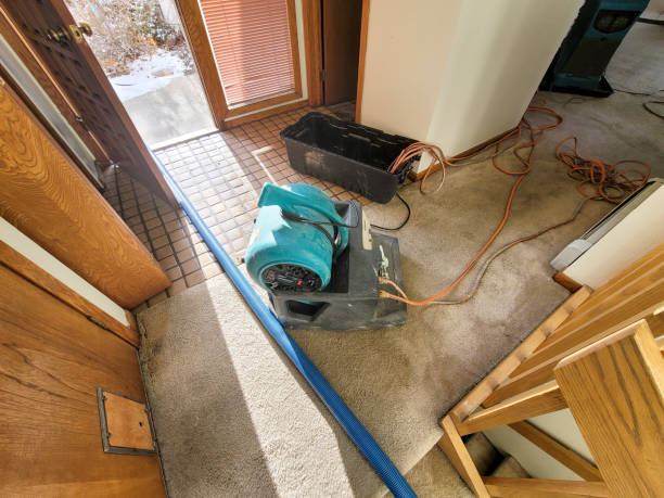 Best Commercial water damage restoration  in Crowley, TX
