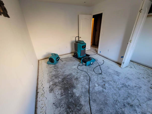 Best Water damage cleanup near me  in Crowley, TX