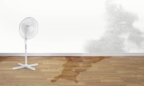 Best Water damage restoration near me  in Crowley, TX