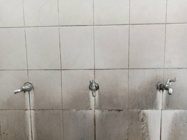 Best Fire Damage Restoration  in Crowley, TX