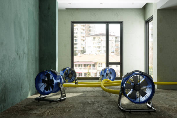 Best Professional water damage repair  in Crowley, TX