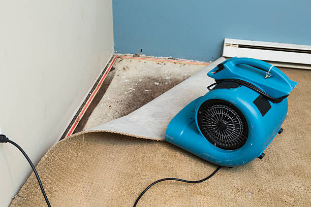 Best Sewage cleanup and water damage restoration  in Crowley, TX